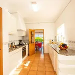 Boracay By Algarve Vacation Albufeira