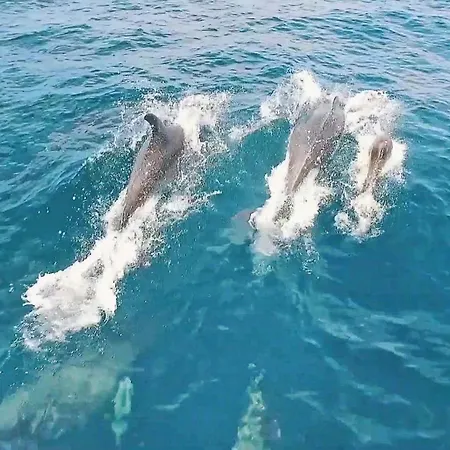 Boracay By Algarve Vacation * Albufeira